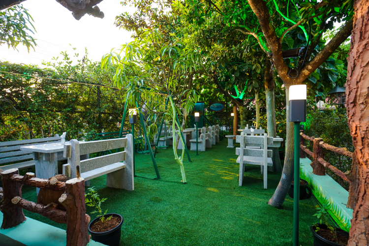 JUNGLE LAWN
